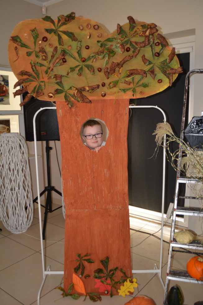 Na fotografii chłopiec w fotobudce w kształcie drzewa zagląda przez dziuple.