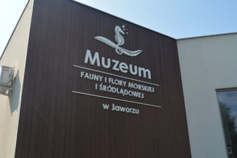 Na zdjęciu kolumna informacyjna przed wejściem do muzeum fauny i flory w Jaworzu.