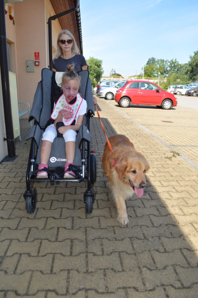 Na fotografii dziewczynka w wózku prowadzona przez opiekuna obok pies na smyczy podczas dogoterapii.