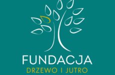 Więcej o: RODZINNY WYJAZD WYTCHNIENIOWY DO KRYNICY – ZDROJU