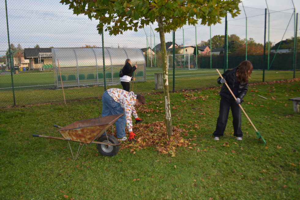 Na zdjęciu dwie dziewczyny grabią liście wokół drzewa, trzecia wkłada liście do taczki. w tle boisko z bramkami za ogrodzeniem. 