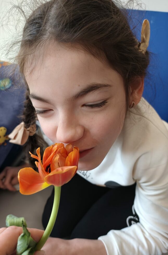 Na zdjęciu dziewczynka z warkoczykami wącha tulipana podczas zajęć o wiośnie.