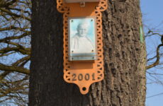 Więcej o: SPACER SZLAKIEM KAPLICZEK W PIASKU