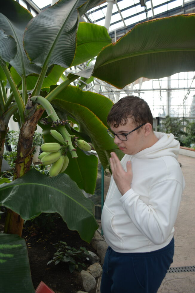 Na zdjęciu chłopak w okularach w białej bluzie z kapturem stoi przy roślinie, bananowcu, na której wiszą małe zielone banany.