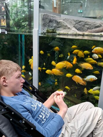 Na zdjęciu chłopiec siedzi w wózku i patrzy na pływające żółte ryby w dużym akwarium.