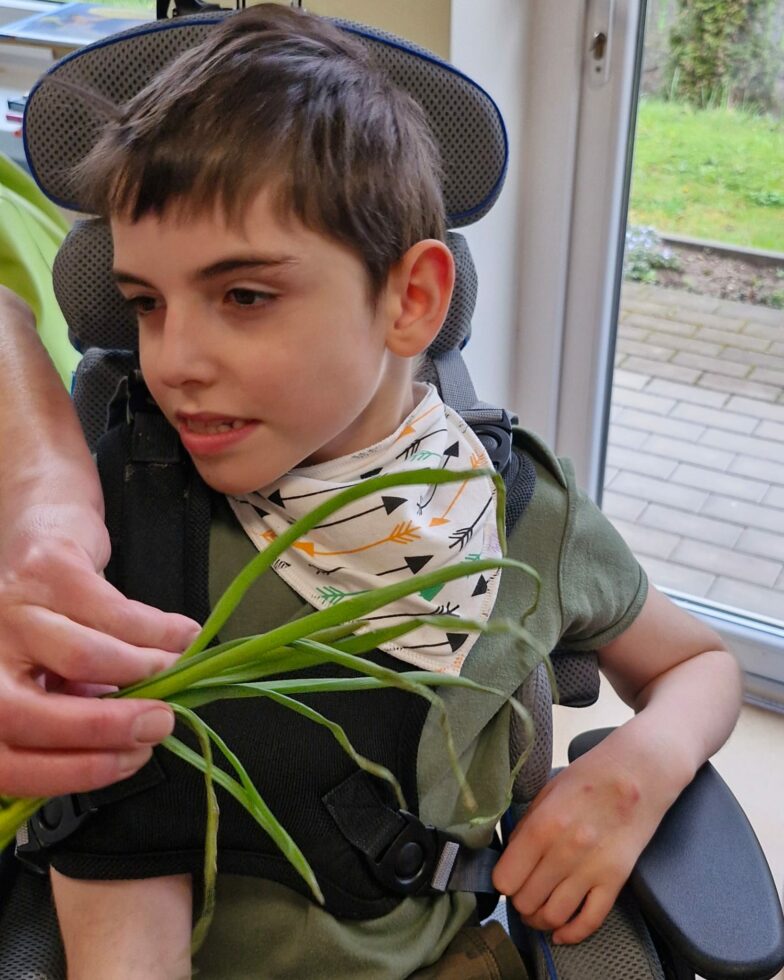 Na zdjęciu siedzi w foteliku rehabilitacyjnym chłopiec. Widać ręce opiekuna pokazujące chłopcu część zieloną cebulki dymki.