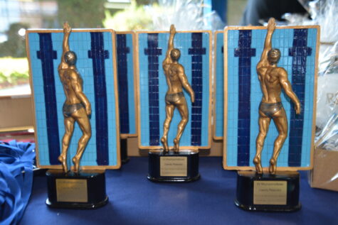 Na zdjęciu stoją trzy puchary przedstawiające pływaka na torze basenowym.