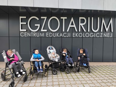 Na zdjęciu chłopcy i dziewczynki w wózkach, w tle tablica z napisem Egzotarium.