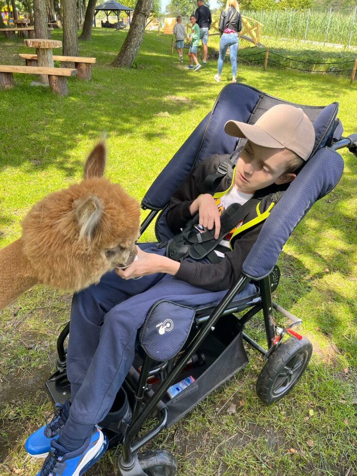 Na zdjęciu chłopiec siedzi w wózku terapeutycznym, na głowie ma czapkę z daszkiem w lewej ręce plastikowy kubek z karmą. Obok stoi alpaka i wyjada karmę z kubeczka.